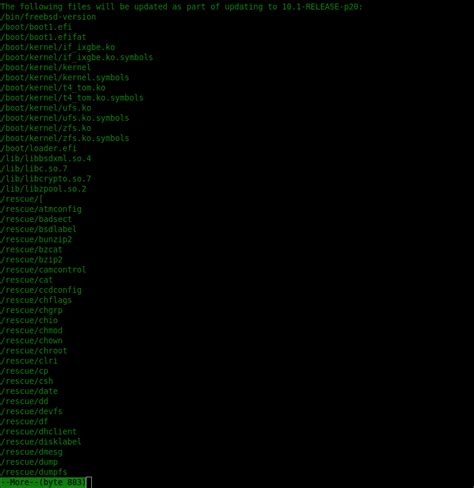 FreeBSD Tutorial Video 的图像结果
