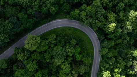 Road 的图像结果