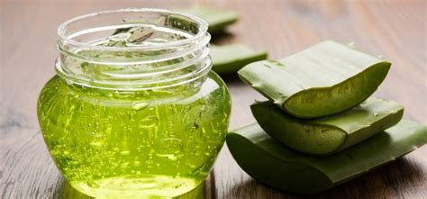 Summer Skin Care Tips : जाणून घ्या Aloe Vera Gel मध्ये दडलेलं रहस्य ...