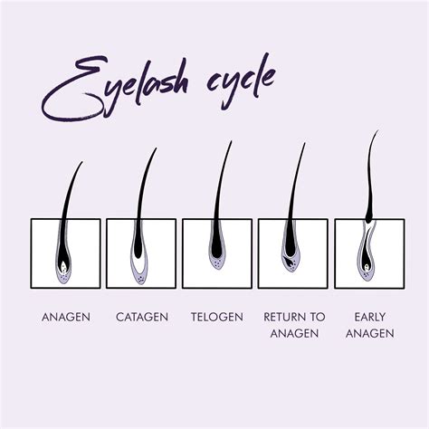 Why are my eyelashes falling out? | Nouveau Lashes