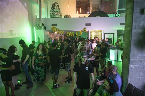 Image result for Social Studio Tutorial