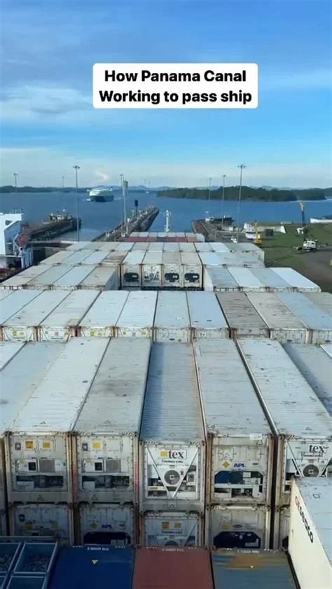 Custom Clearance Services - Ddp Shipments Services Service Provider ...