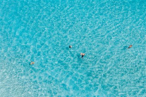 Swimming in the Ocean 的图像结果