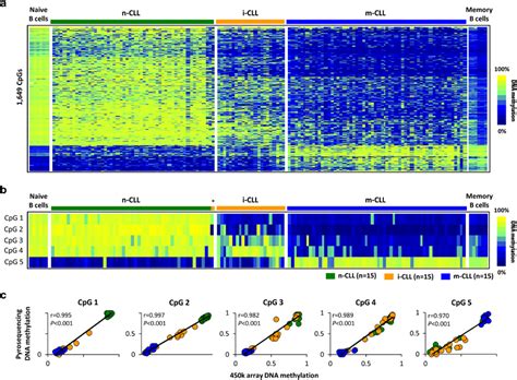 CLL Method 的图像结果
