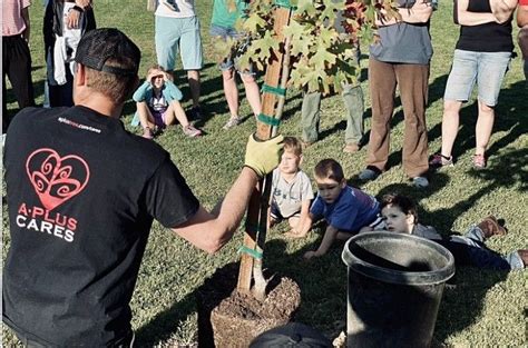 Tree-Planting Activity 的图像结果
