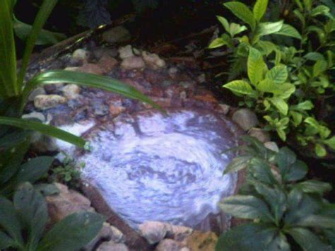 Incorporating a Small Pond into a Grey Water Diversion