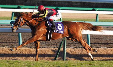 今日は何の日?(12月22日) : TAKESHI～鉄道と競馬が好き～