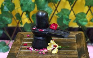 DARIDRA BHANJAN Shiva Lingam Abhishek Patra with Trishul and Nag for ...