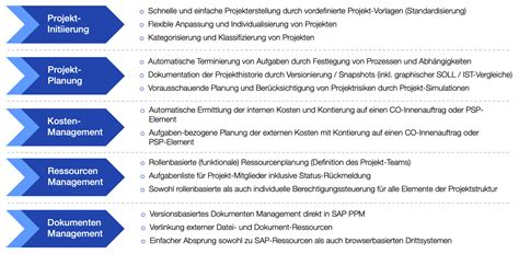 Image result for PPM SAP Structure Portfolio