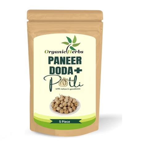 Organic Herbs Paneer Doda in Potli | Paneer Doda Phool | Paneer Dodi ...