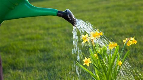 Spring Lawn Treatment Tips | All Turf Lawn Care