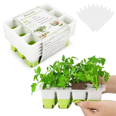 Seedlings Seed Starting Kits