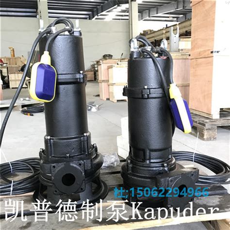 800Q-125卧式潜水轴流泵厂家生产-德能泵业（天津）有限公司