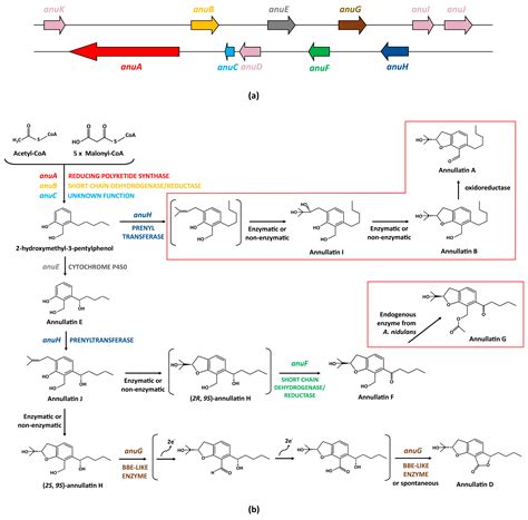 Secondary Metabolites Produced by the Blue-Cheese Ripening Mold ...