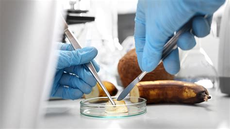 What Is Food Engineering 的图像结果