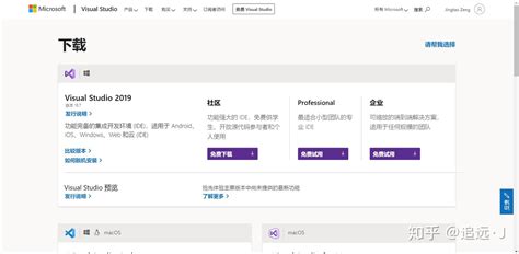 Visual Studio C Setup 的图像结果