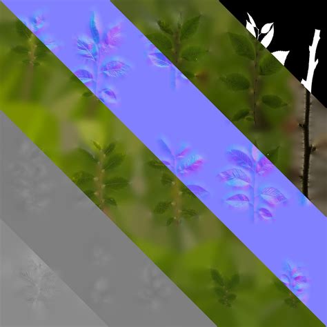 Anydrafts Ulmus Leaves Textures Pack 3D - TurboSquid 2322829