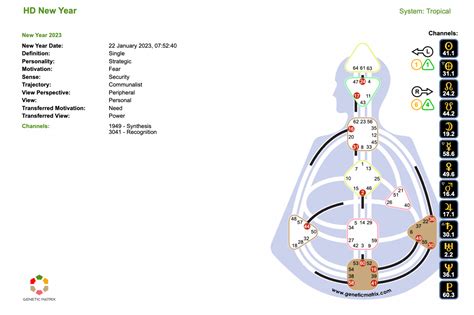 Rezultat imagine pentru What Is Human Design Chart