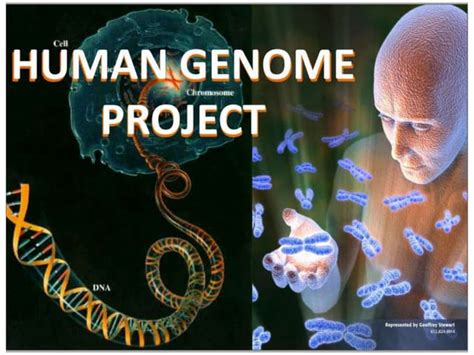 Image result for Human Genome Project Free Science Lessons