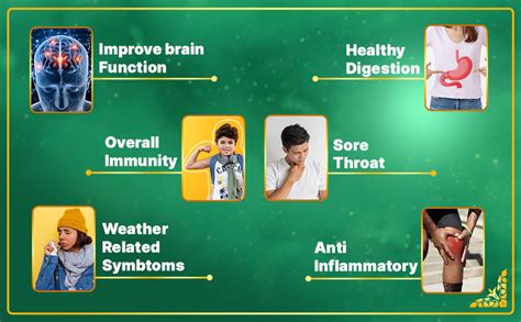 Spiritude Immunity Booster Powder for Adults and Kids 11 Highly Potent ...