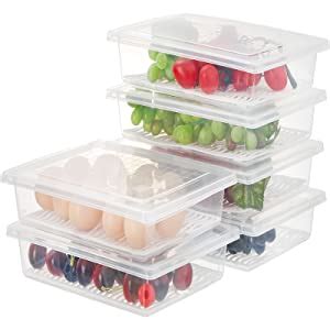 Buy SATVIKAYA Food Storage Container with Removable Drain Plate and Lid ...