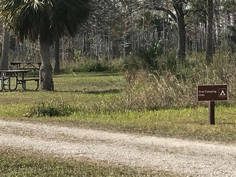 Monument Lake Campground — Big Cypress National Preserve | Ochopee, Florida