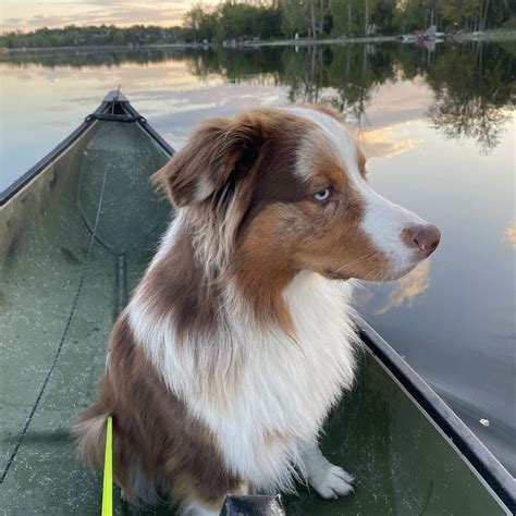 Rusty Buckets - Furry People Productions