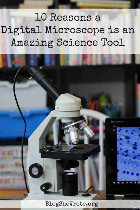 Image result for Digital Microscope Tutorial