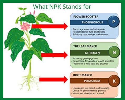 Npk Means Fertilizer