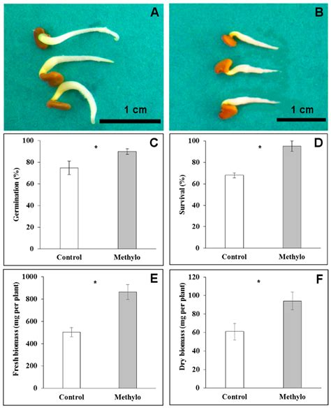 Seed Endophyte Microbiome of Crotalaria pumila Unpeeled: Identification ...