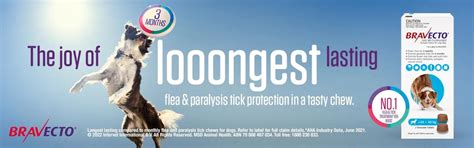 Offers the best long protection from ticks & fleas - Bravecto — Ofypets