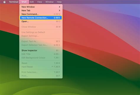 SFTP Connection 的图像结果