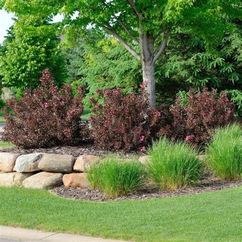Enhance Your Landscape with Large Landscape Rocks: Endless ...