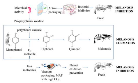 Polymeric Packaging Applications for Seafood Products: Packaging ...