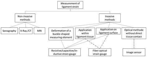 Optical Measurement of Ligament Strain: Opportunities and Limitations ...