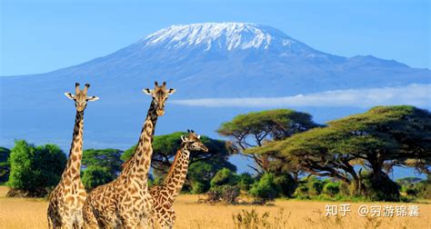 （肯尼亚10日）肯尼亚（两大国家公园+两大湖泊+肯尼亚山费尔蒙狩猎度假村）10天动物追踪之旅_深圳康辉旅行社