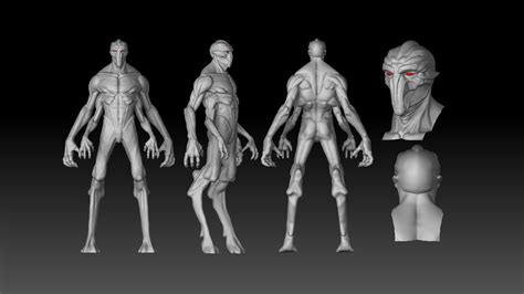 Image result for Alien Anatomy