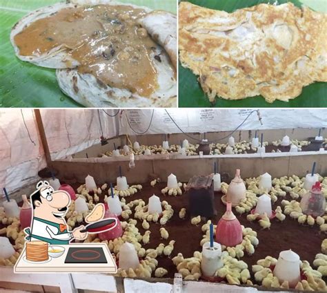 Sultan Parotta Stall, Panpoli - Restaurant menu, prices and reviews