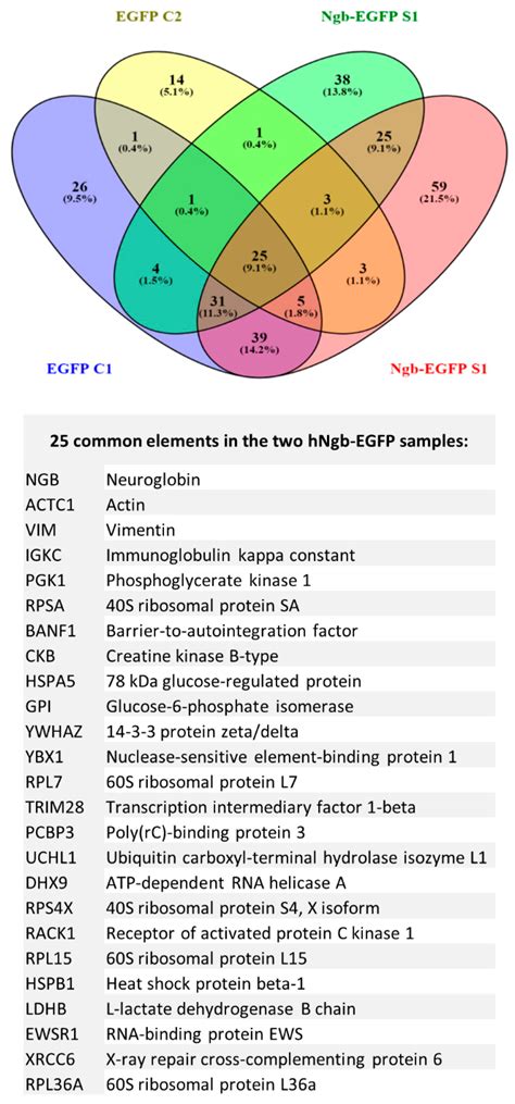Connecting the Dots in the Neuroglobin-Protein Interaction Network of ...