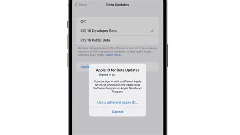 Image result for Apple Developer Beta Program