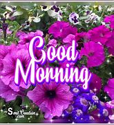 Image result for Good Morning Bright Flowers