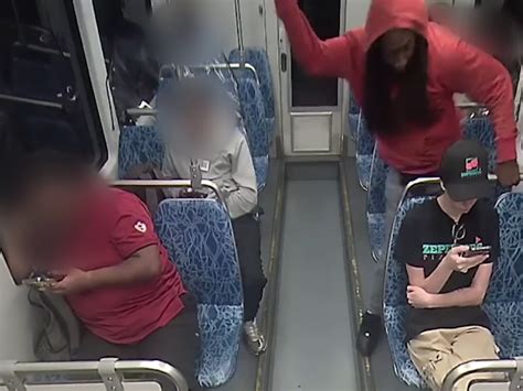 Ukrainian woman stabbed to death in random Charlotte light rail attack