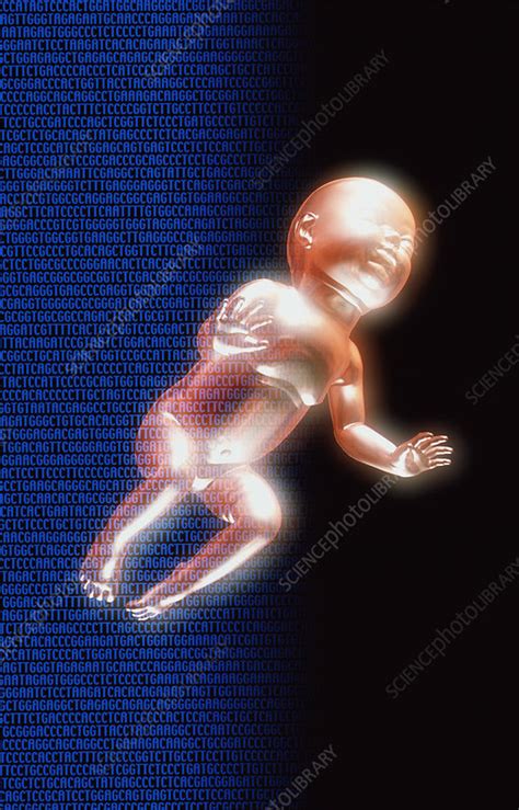 Image result for Genetic Code Videos