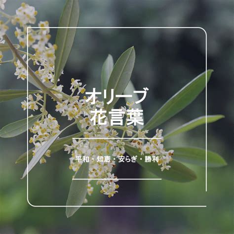 Image result for REST API Coded Example in JavaScript