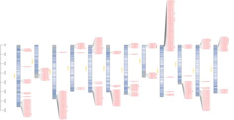 Genome-Wide Identification and Functional Evolution of NLR Gene Family ...