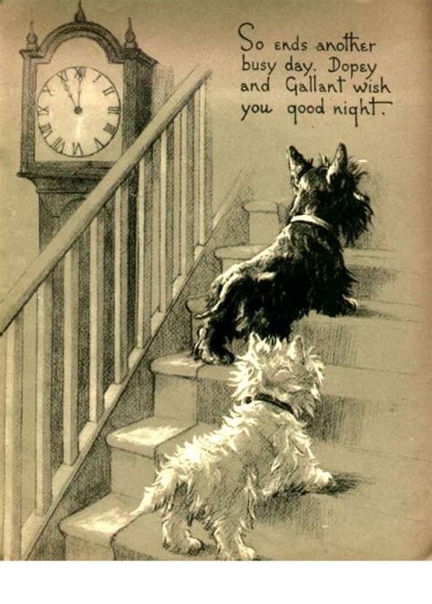 Image result for Time Machine Dog Drawing