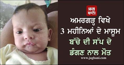 ਅਮਰਗੜ੍ਹ ਵਿਖੇ 3 ਮਹੀਨਿਆਂ ਦੇ ਮਾਸੂਮ ਬੱਚੇ ਦੀ ਸੱਪ ਦੇ ਡੰਗਣ ਨਾਲ ਮੌਤ