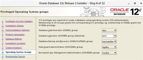 Image result for Repository Variable Oracle