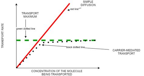 Image result for Simple Diffusion Drawing