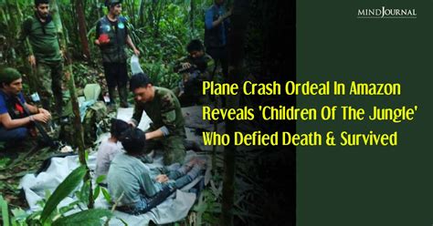 Image result for Alien Queen V Predator